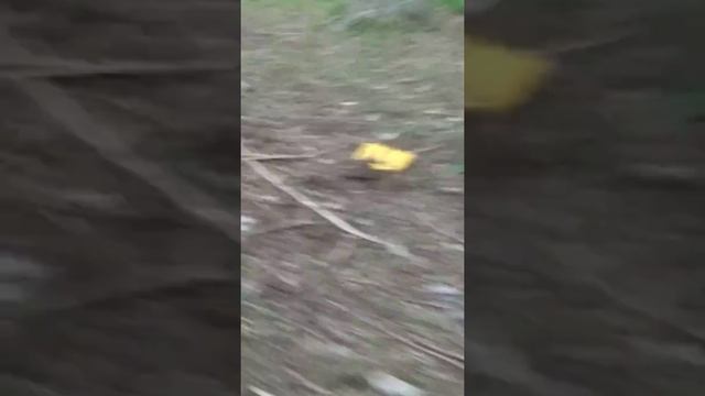 Кидаем шифер в пекло смотреть онлайн