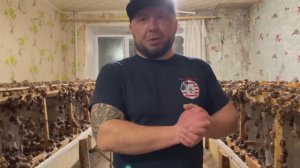 Введение в рацион улитки морковку. Минусы запуска маточника в непредназначенном для этого помещении.