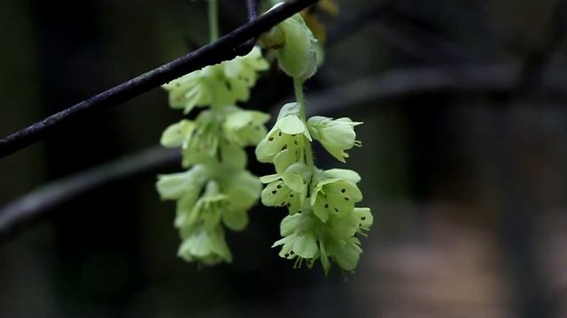 MVI 6739 1 смотреть онлайн