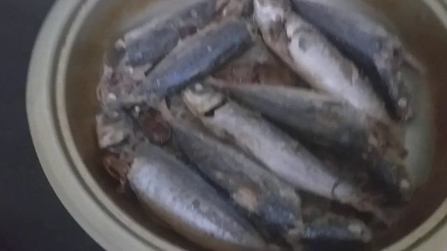 IKAN SARDIN REBUS BERGORENG.
