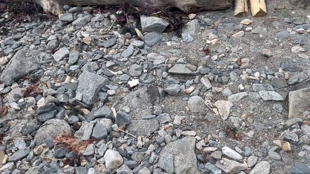 Жарим вкусный сочный шашлык на природе на берегу Охотского моря. Язык проглотишь. В Магадане дубак.