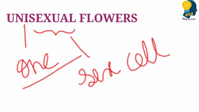 UNISEXUAL AND BISEXUAL FLOWERS|CLASS 10 смотреть онлайн