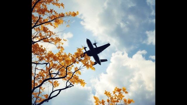 Не грусти, пилот...