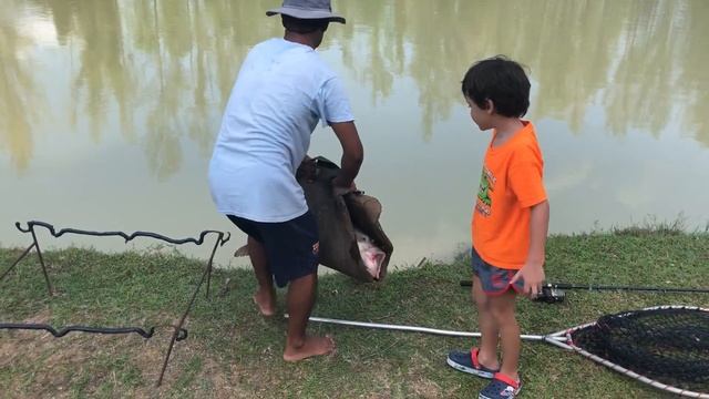 Bulut Catching Monsterfish Big Siamese Carp Big Game Fishing Part 3 смотреть онлайн