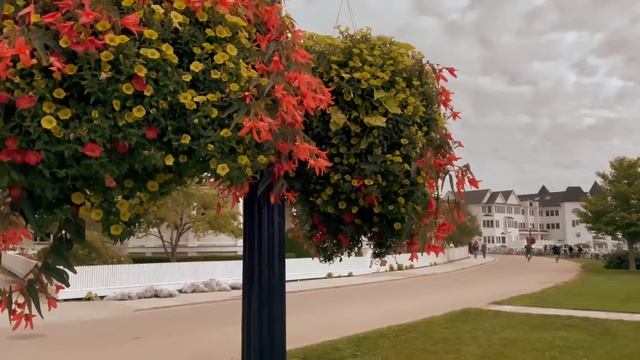 Rock 'n' Roll Hits of the 50s & 60s Timeless Classics by Elvis Presley, and Little Richard 🎸🔥 смотреть онлайн