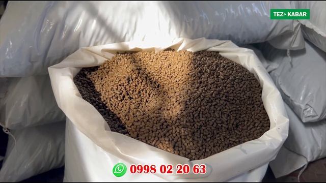 Кыргызстанда ӨНДҮРҮШ КҮЧӨДҮ ~ Балык ЖЕМ чыгарыла баштады ~ Өзүбүздүн ЖЕМДИ жедирели смотреть онлайн