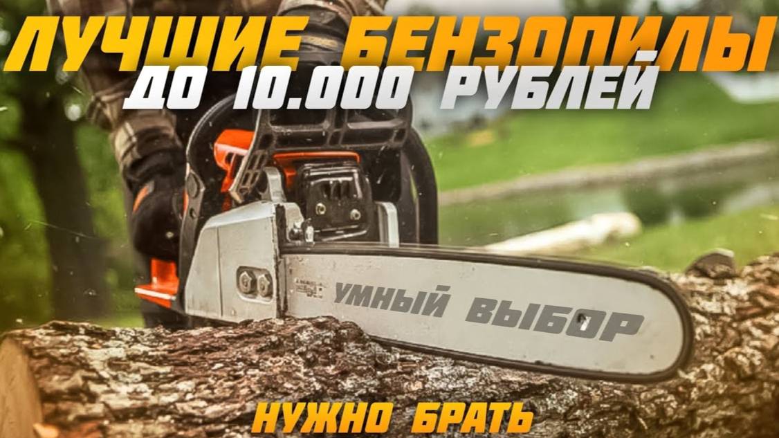 Какую бензопилу купить в 2025 году? Топ 5 бюджетных Бензопил смотреть онлайн