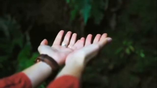 Information About Kangen Machine