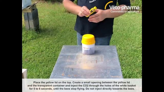 How to use Varroa EasyCheck with the CO2 injection method? смотреть онлайн