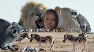 Кейптаун. ЮАР. 2025