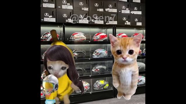 BANANA CAT BABY 🐱 HAPPY AND 😿 CRY VIDEOS 7 #catmemes #cat #bananacat #happycat #fyp
