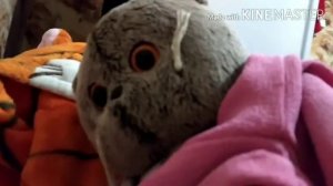 Небольшой VLOG.  С басиком. Как мы готовимся спать. 💤😴