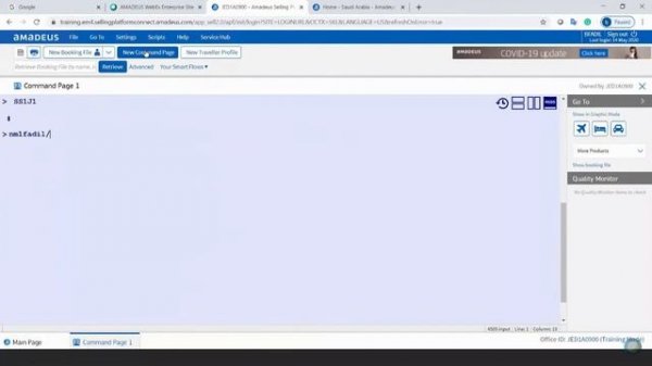 Query Report & Smart Flow