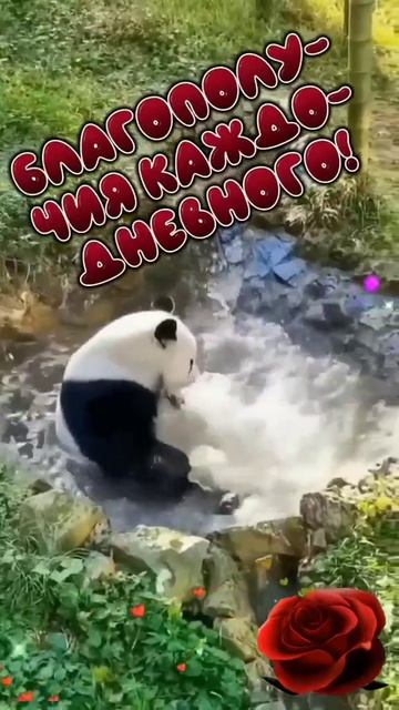 Доброе утро всем 💖☕ смотреть онлайн