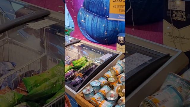 Сувенирный магазин Йошкин Кот в Йошкар-Оле 😺 Россия 🇷🇺 Souvenir shop in Yoshkar-Ola 😺 Russia #short смотреть онлайн