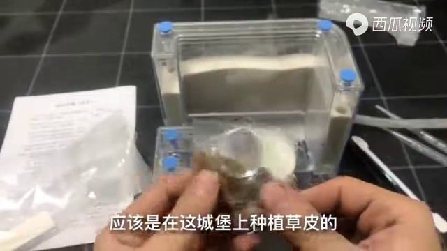 拆箱试玩蚂蚁城堡，一百块钱购买的，送八十只工蚁两只蚁后 смотреть онлайн