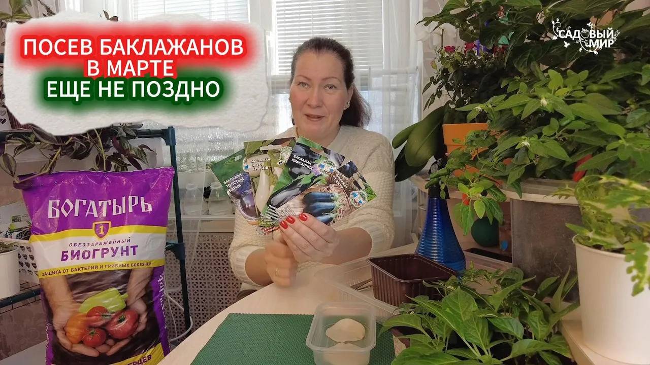 ПОСЕВ БАКЛАЖАН В МАРТЕ - КАК ВЫРАСТИТЬ ТОВАРНУЮ РАССАДУ БАКЛАЖАНОВ смотреть онлайн
