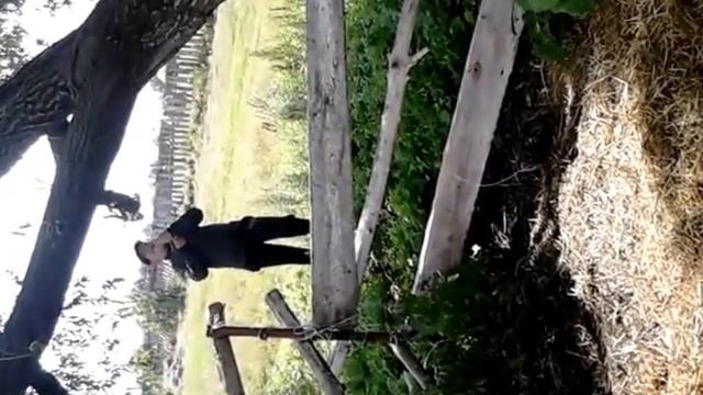 Жирный упал с тарзанки смотреть онлайн