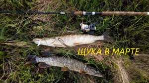 КАК ЛОВИТЬ ЩУКУ в МАРТЕ? ПРИМАНКИ и МЕСТА для ЛОВЛИ ЩУКИ ВЕСНОЙ. СНАСТИ и ВРЕМЯ для ЛОВЛИ ЩУКИ