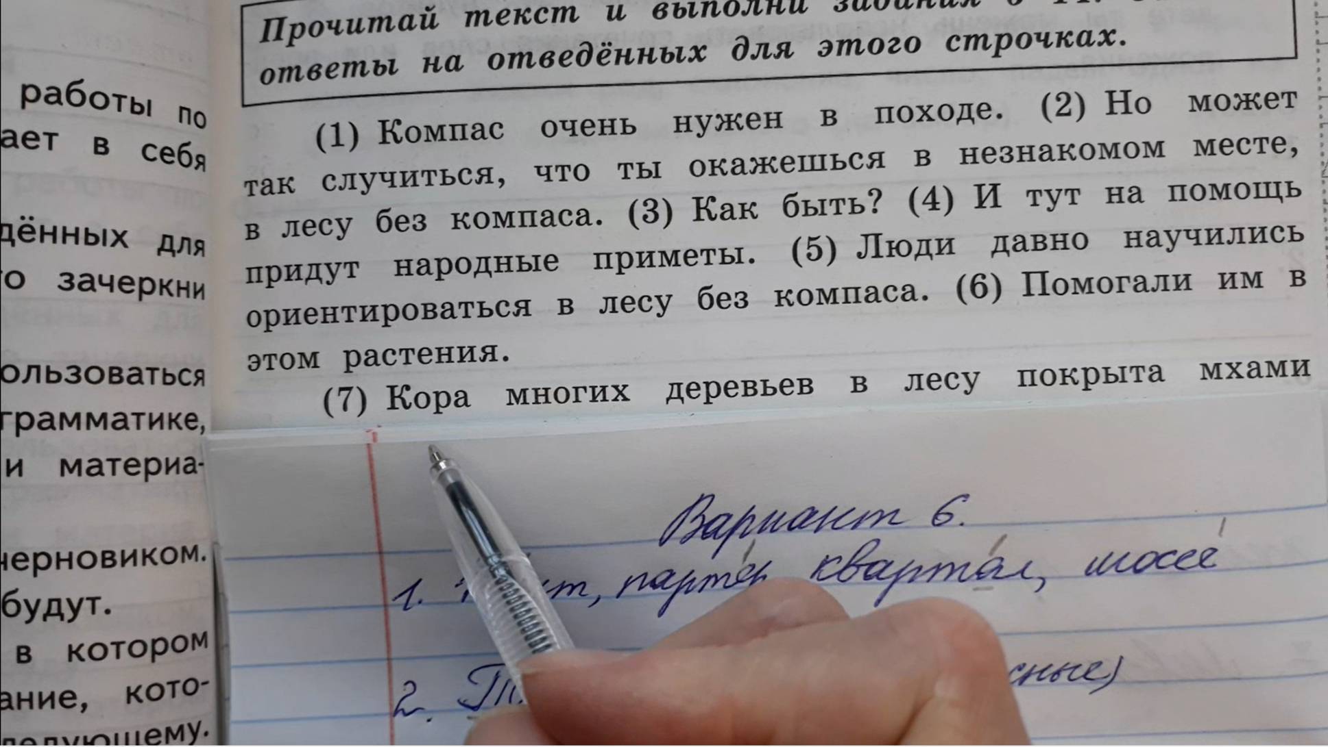 ВПР Русский язык 4 класс, 2025 год. Вариант 6 из 25 смотреть онлайн