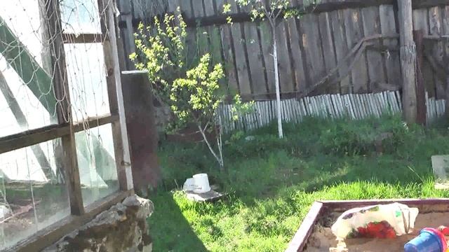 так бы и качался смотреть онлайн