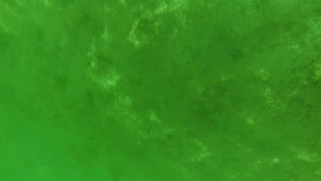 Alafamarine 5000 работа с металлоискателем под водой на глубине 40 метром смотреть онлайн