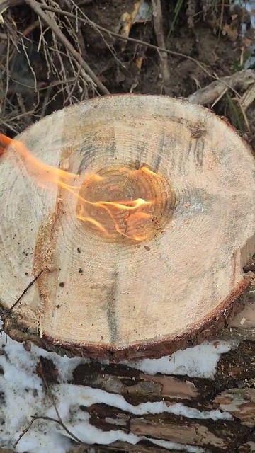 залетит в тренды ? огонь , лес , работа , безделье.