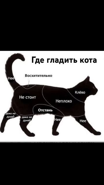 хз че писать смотреть онлайн