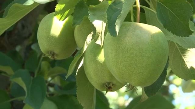 Можливо все. Анонс новых выпусков. смотреть онлайн