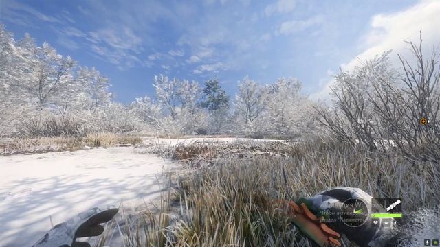 theHunter Call of the Wild охота в медвежьей тайге . смотреть онлайн