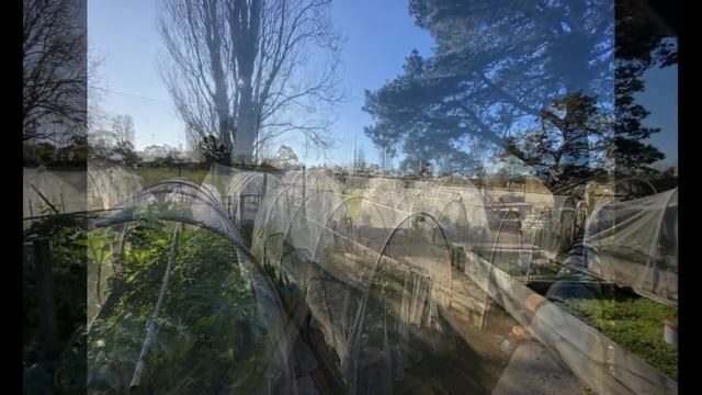 Dig In Community Garden (Port Melbourne) смотреть онлайн