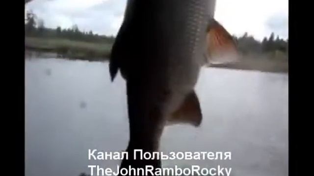 Ассорти из Язя OTHERS смотреть онлайн