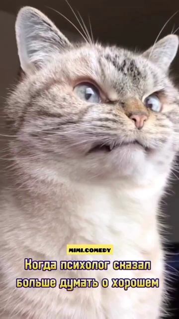 вот так же бывает 🤷♀️