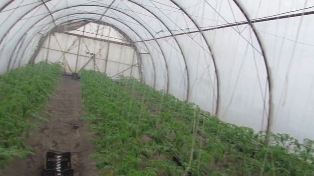 Выращивание овощей в марте на Полесье смотреть онлайн