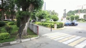 Оазис в Владивостоке.