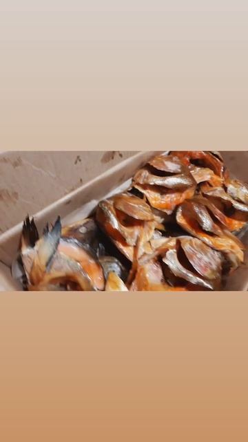 Сибас горячего копчения! Головы сёмги! Дорадо горячего копчения!🔥🔥🔥