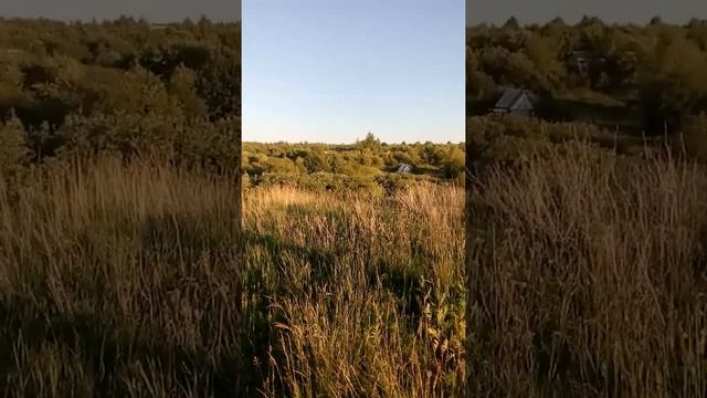 Родник| в Берсеневке| "красота)))" смотреть онлайн