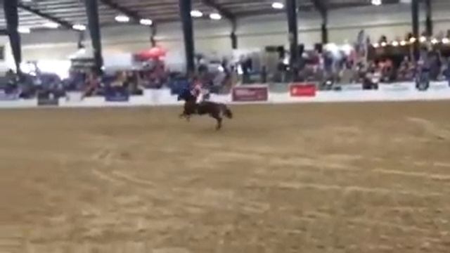 Dan Keen - Retired Racehorse Freestyle 2017 And Proposal