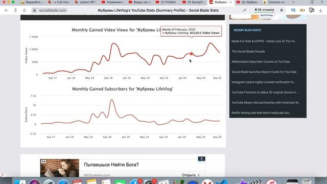 Доход канала Жубревы LifeVlog. Svetlana Müller