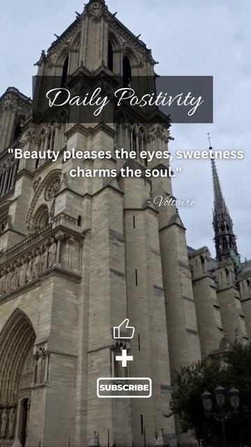 Positivity & Motivation from Voltaire! #shorts #quotes смотреть онлайн