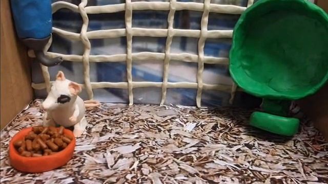 Jones Sheridan Rita the Rat part 1 смотреть онлайн