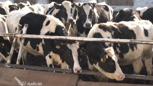 Vodic za poljoprivrednike na putu ka Evropskoj uniji 03 U nasem ataru 508 смотреть онлайн