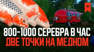 Две точки для ПРИЯТНОГО ФАРМА на Медном ● Русская рыбалка 4 ● Перчик РР4