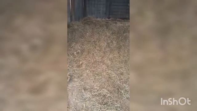 Макрон по хорошему выходит смотреть онлайн