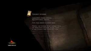 Прохождение игры DARK SOULS™ II: Scholar of the First Sin (Стрим) в 2025 # 15