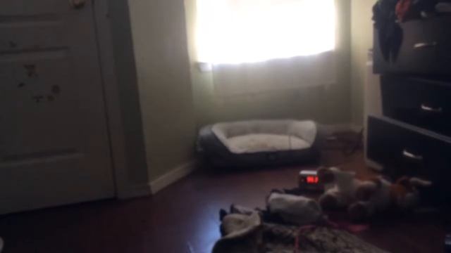 That’s one smart cookie смотреть онлайн