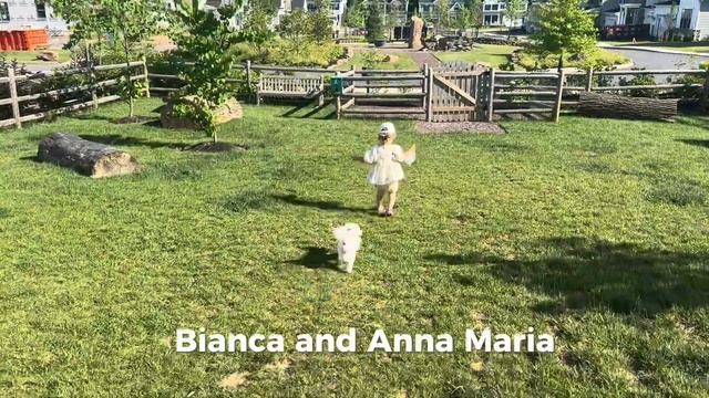 Веселая и милая детская песенка на английском про девочку и собачку 🧒💕🐶