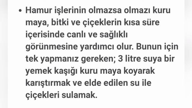 ORKİDENİZ BOL ÇİÇEK DALI ÇIKARSIN İSTİYORDANIZ BİR KAŞIK KURU MAYA YETERLİ смотреть онлайн