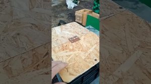 Переноска для подсадных уток. ДЁШЕВО И СЕРДИТО.