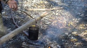 🐻 Холодная война с медведем Противостояние медведя и человека